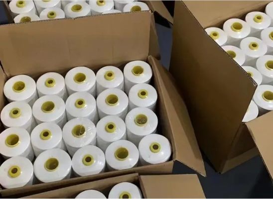 40/3 hilo de revestimiento para el borde del telar cinta de resistencia química poliéster hilo de costura 500g