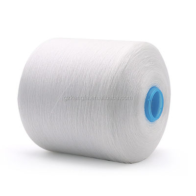 100% de poliéster de OEM 20/2 30/2 40/2 50/3 para 100-500 g