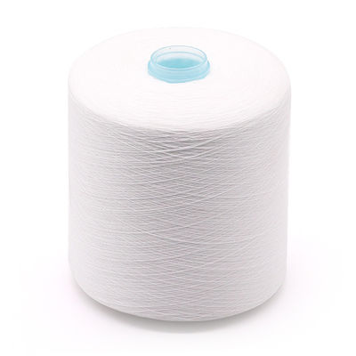 100% de poliéster de OEM 20/2 30/2 40/2 50/3 para 100-500 g