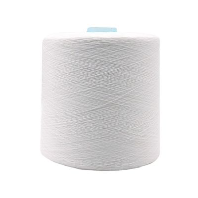 100% de poliéster de OEM 20/2 30/2 40/2 50/3 para 100-500 g