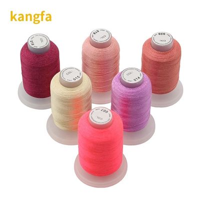40 colores 100% de poliéster de bordado de hilo conjunto Kit 120d/2 500m para el tapete de costura